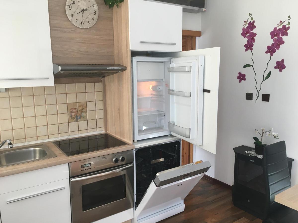 Apartment Hlinska 捷克布杰约维采 外观 照片
