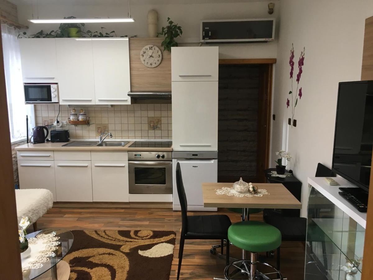 Apartment Hlinska 捷克布杰约维采 外观 照片
