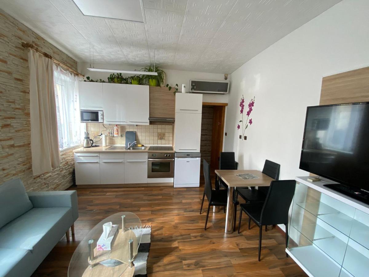 Apartment Hlinska 捷克布杰约维采 外观 照片