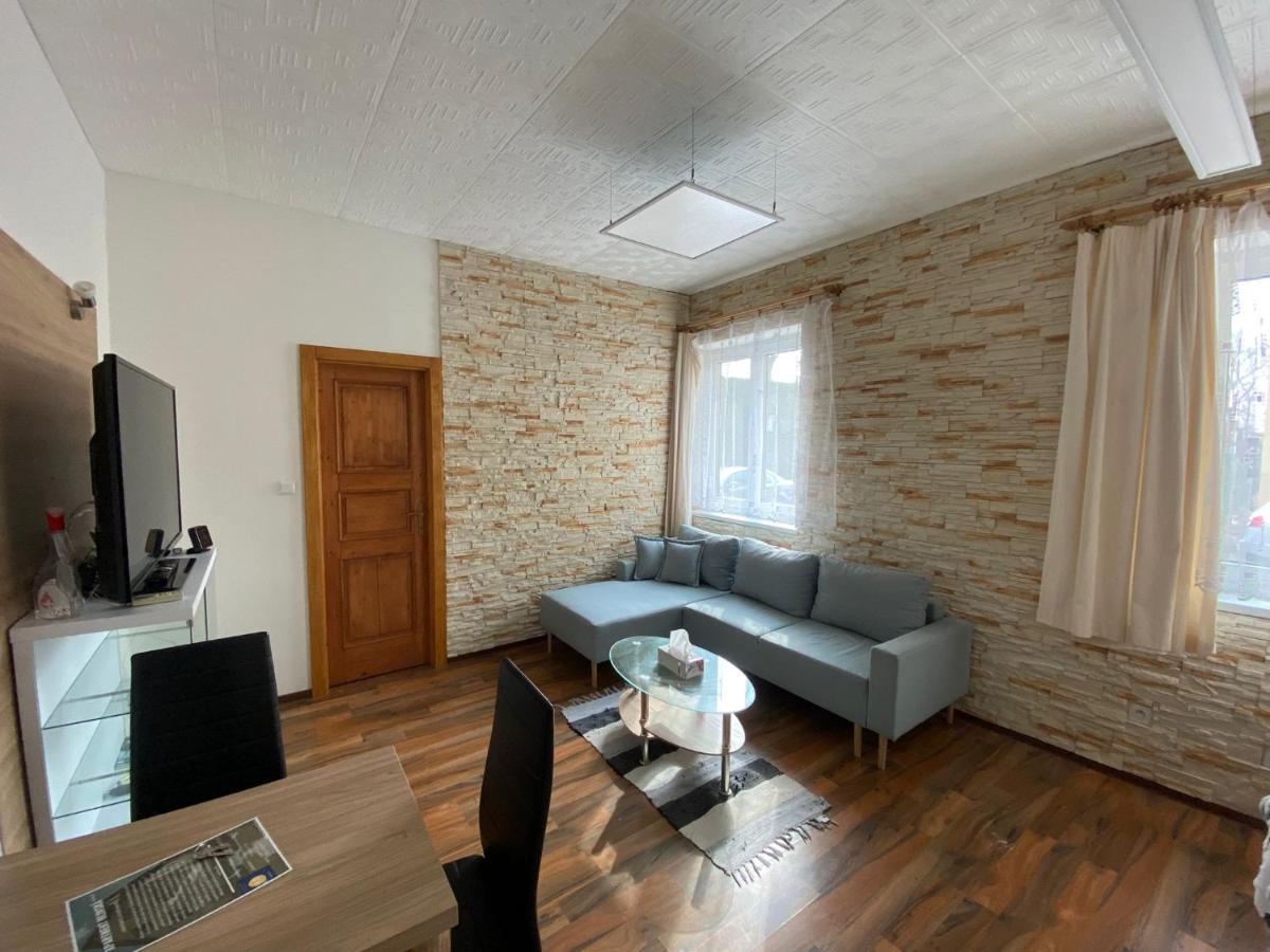 Apartment Hlinska 捷克布杰约维采 外观 照片
