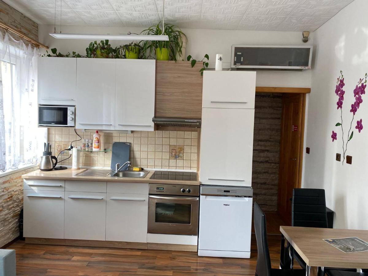 Apartment Hlinska 捷克布杰约维采 外观 照片