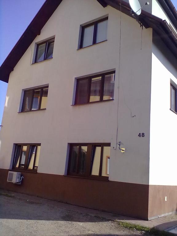 Apartment Hlinska 捷克布杰约维采 外观 照片