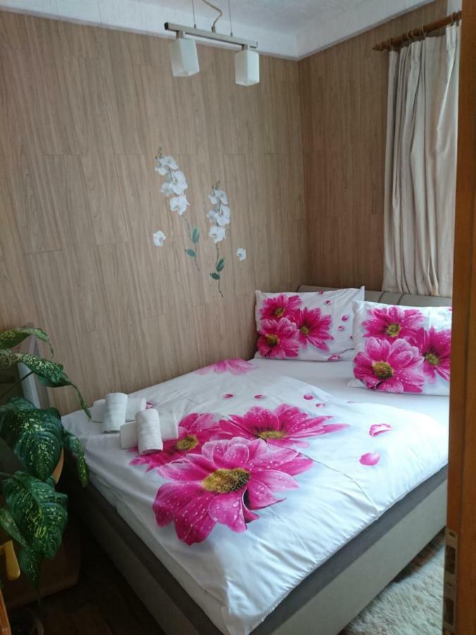 Apartment Hlinska 捷克布杰约维采 外观 照片